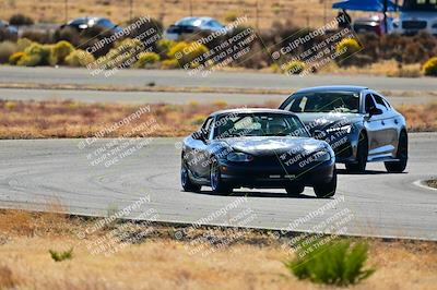 media/Nov-16-2024-Extreme Speed (Sat) [[6587d07cc4]]/Gold Group/Session 2 (Turns 3 and 5)/